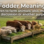 Fodder Meaning