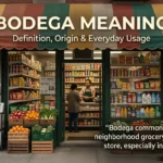Bodega Meaning