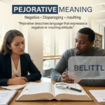 Pejorative Meaning