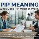 PIP Meaning